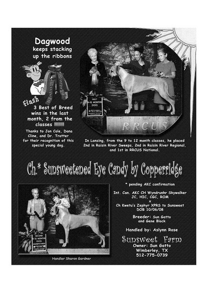 Dags 2nd ad small