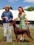 Best of Winners: By Design Intuition Owned by Bill Pine and John & Paula Hall. Waconia, MN June, 2005