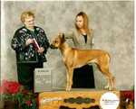 ZEPHYR XPRS TO SUNSWEET. BREEDER: Diane Engelking & Barbara Sawyer-Brown. By Ch Kwetu's Morus-Ch Kwetu's Broadway Lady. OWNER: Sun Gatto & Gene Block.