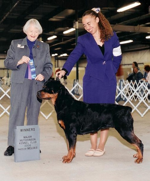 STOMAC'S PEPPERHAUS ZENNITH.  BREEDER: Sandy & Ron Overgaard. By Ch Pepperhaus Turn of the Century CD-Pepperhaus Pizazz CD PT. OWNER: Dr Russell & Ellen Stovall. 4/06